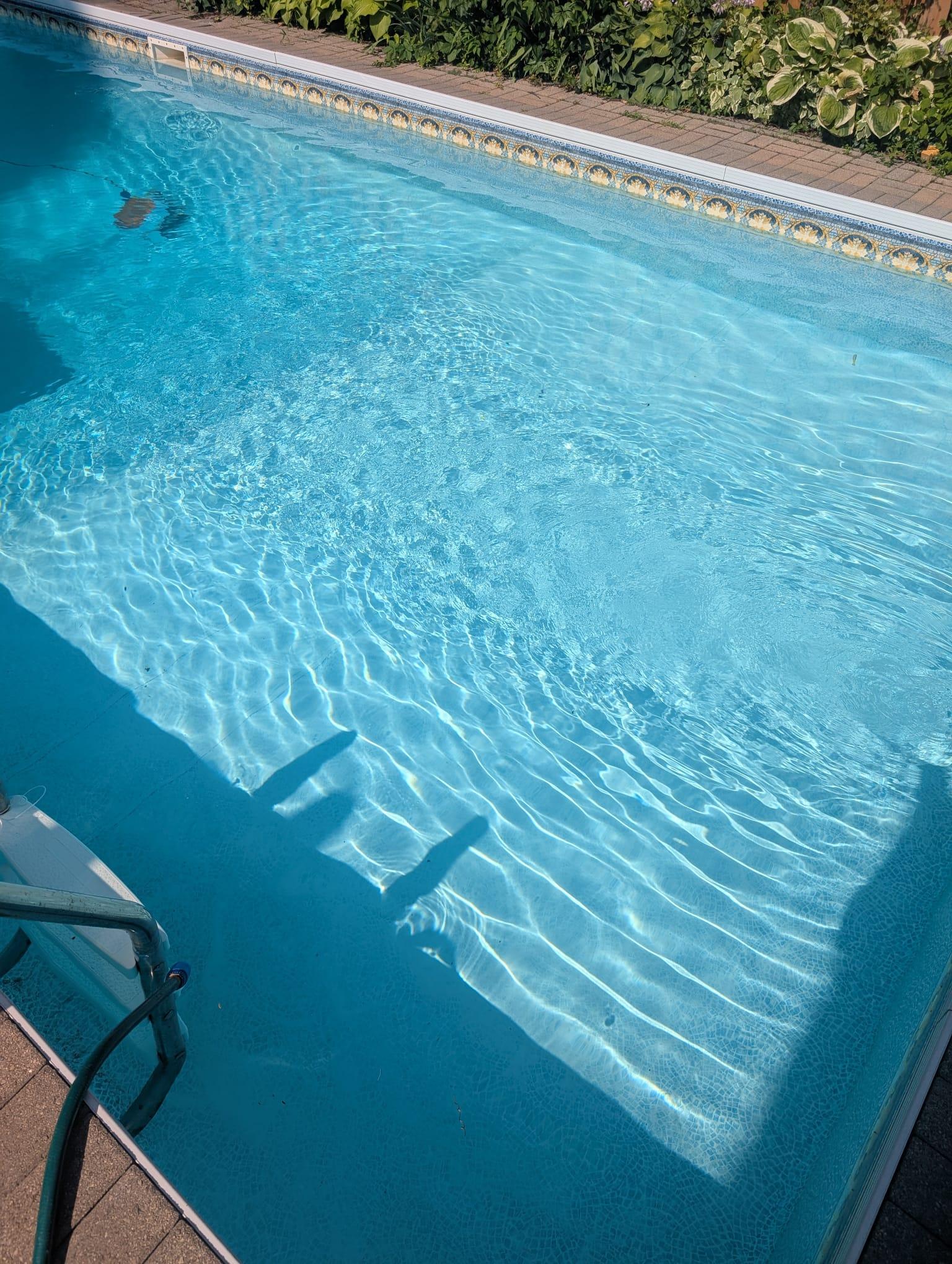 Freshly opened backyard pool